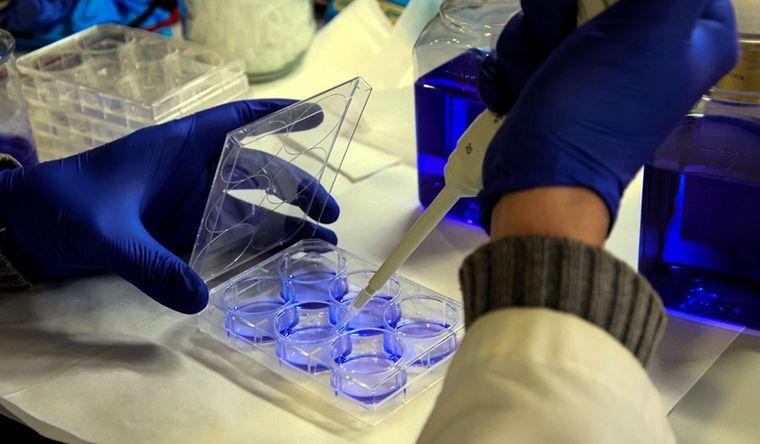 La investigación genética ha generado asombro por sus conclusiones. Foto: Efe.