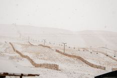 Se renuevan las alertas para este viernes Foto: Santiago Tagua/MDZ