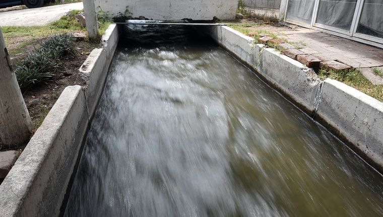 Imagen ilustrativa. Foto: ALF PONCE MERCADO / MDZ