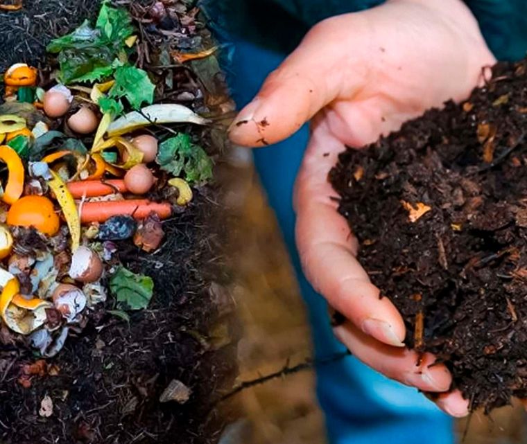 El otoño, al igual que la primavera, también puede ser un momento ideal para hacer compost, ya que la abundante materia orgánica procedente de las hojas caídas y de los restos de las plantas de fin de temporada proporcionan un suministro inmediato de residuos marrones ricos en carbono. Foto: zapala.gob.ar