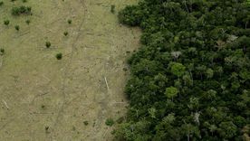 La venta ilegal de tierras es un problema en toda la Amazonía. Foto: GETTY IMAGES