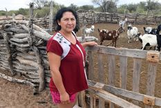 Cristina Godoy vive en uno de los puestos de San Miguel, Lavalle Foto: ALF PONCE MERCADO / MDZ
