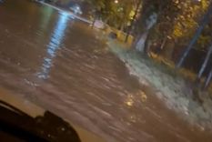 Las imágenes son impactantes Foto: Captura de video