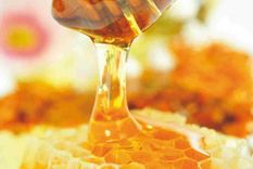 la anmat prohibio la venta de una miel trucha en todo el pais