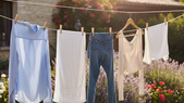 Los mejores consejos para colgar la ropa en verano. Fuente: IA Gemini. Los mejores consejos para colgar la ropa en verano. Fuente: IA Gemini.