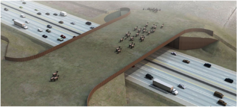 Imagen antes de concretar el proyecto. Imagen antes de concretar el proyecto. 