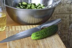 Los gatos suelen temerle a los elementos desconocidos Foto: Shutterstock