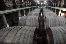 Se extiende a todo el mes de agosto la Campaña “Bodegas Abiertas” el programa para que los mendocinos puedan visitar y experimentar en las bodegas.