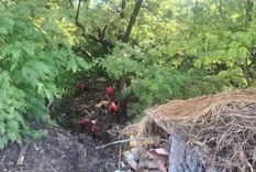Encontraron el cuerpo de la mujer que fue arrastrada por un arroyo en medio de un temporal en la ciudad de Paraná.