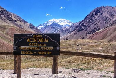 MDZol | Foto: shutterstock.com