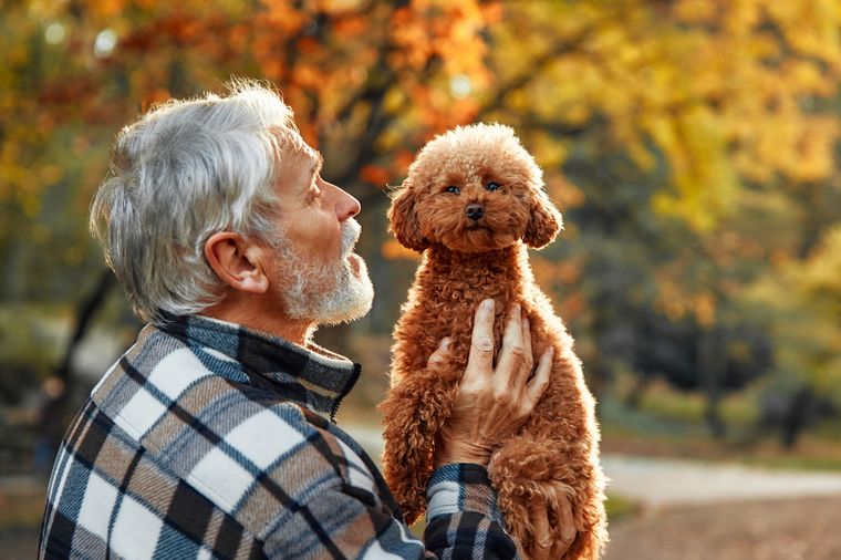 Mascotas cariñosas y fáciles de cuidar mejoran la calidad de vida de los mayores. Mascotas cariñosas y fáciles de cuidar mejoran la calidad de vida de los mayores. 