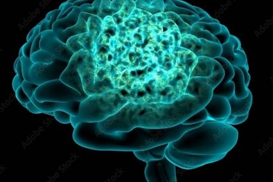 MDZol | Cada vez que nos levantamos por la mañana se enciende en nuestro cerebro el estado de alerta. Foto: MDZ