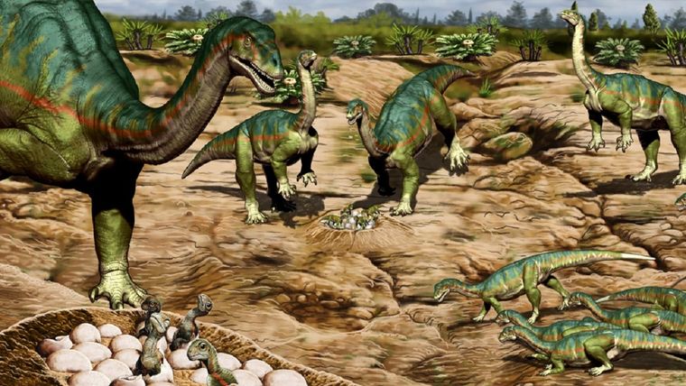 Los dinosaurios se movían de una manera inesperada. Foto: Conicet