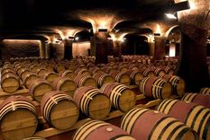 como darse cuenta si un vino tiene madera o no y que significa