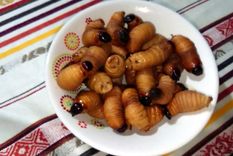 Ahora, es un plato de alta cocina también. Foto: Youtube.