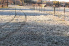 por la ola polar, mendocinos capturaron un sorpresivo fenomeno en sus hogares