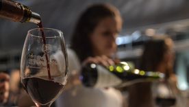 El Gobierno reestructura el INV. El Gobierno reestructura el INV.