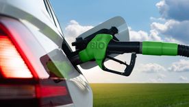 Empresarios del sector del biocombustible reclaman al Gobierno la publicación de un precio competitivo y que tenga en cuenta los gastos de producción. Foto: Shutterstock