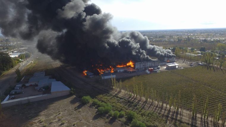 Foto: Prensa Gobierno de Mendoza