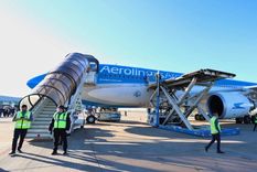 ¡buenas noticias! analizan autorizar viajes aereos dentro del pais