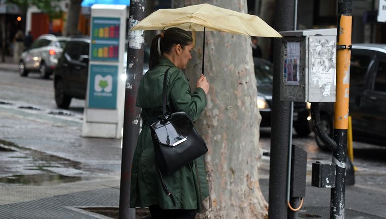 Foto: ALF PONCE MERCADO / MDZ