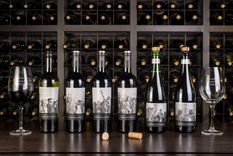 un vino argentino con excelente relacion precio calidad: ¡aplausos!