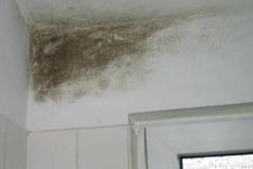 limpiar LAS ESPORAS DE MOHO SUELEN APARECER EN SITIOS CON MUCHA HUMEDAD Foto: archivo