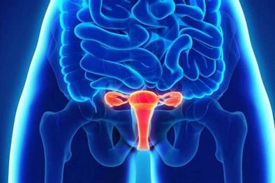 MDZol | Dado que la endometriosis puede afectar la fertilidad y generar complicaciones a largo plazo, es fundamental que las mujeres acudan a controles ginecológicos regulares Foto: Archivo MDZ