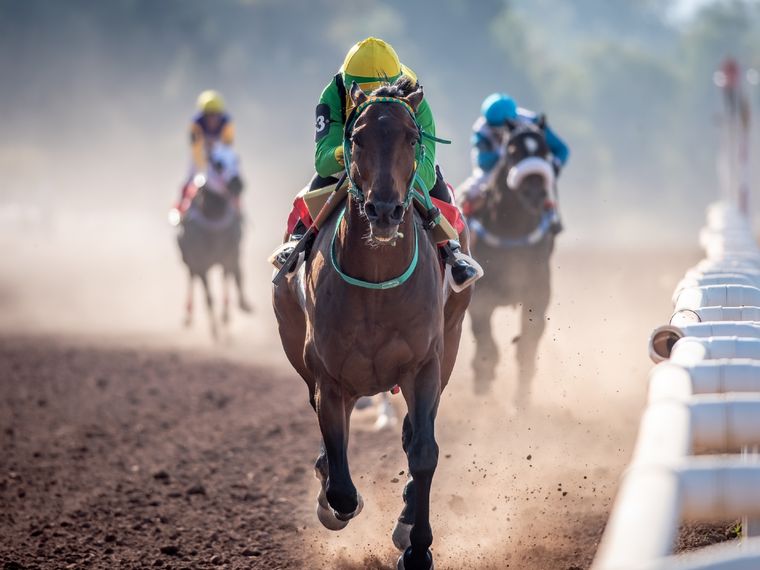 Bellaco Song se impuso por varios cuerpos en el clásico de la jornada, Foto: Foto gentileza José Maluf