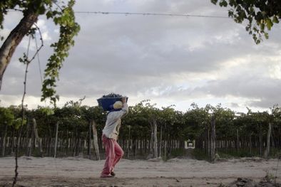 MDZol | Foto: Gerardo Gómez /MDZ