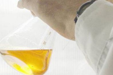 MDZol | El curso cuenta con la organización de la Secretaría de Deportes. Foto: MDZ