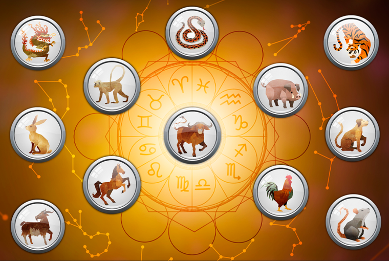 Signo por signo, las predicciones para el 2024 según la astrología china Foto: Archivo MDZ