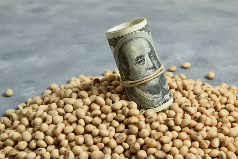 El agro aportó mucho para la recuperación de la actividad económica Foto: Shutterstock