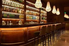 Solo me molestan los seres irracionales, animales o humanos. Pero que sean felices che; eso sí… lejos de mí por favor. Foto: MDZ