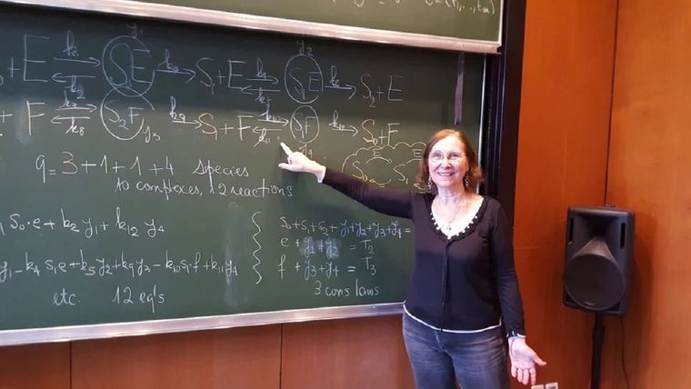 Dickenstein, la científica argentina que es referente en todo el mundo. Foto: UNL