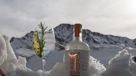 El gin mendocino súper premiado.