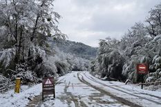Foto: /www.nahuelhuapi.gov.ar/