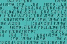 Los juegos visuales seguirán siendo parte del universo digital, con nuevas imágenes y consignas para quienes buscan un momento de diversión con un toque de desafío Foto: Archivo MDZ