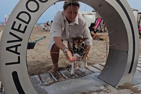 La temporada de verano en la Costa Atlántica sumó una novedad que marca tendencia dentro del turismo pet friendly. La temporada de verano en la Costa Atlántica sumó una novedad que marca tendencia dentro del turismo pet friendly.
