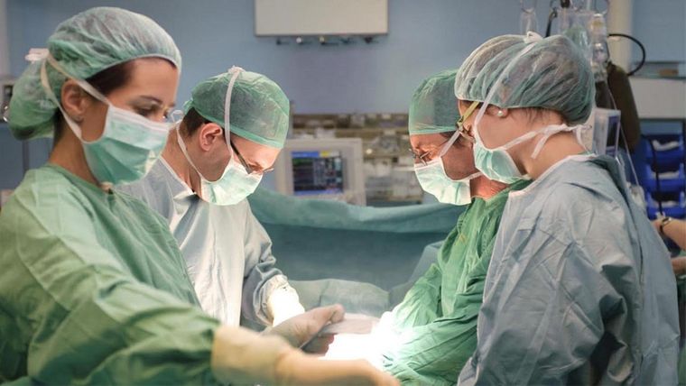 Entre las diversas formas de donación de órganos, la donación de óvulos emerge como un componente crucial y a menudo menos destacado, que ofrece la posibilidad de cumplir el sueño de la maternidad. Foto: Télam