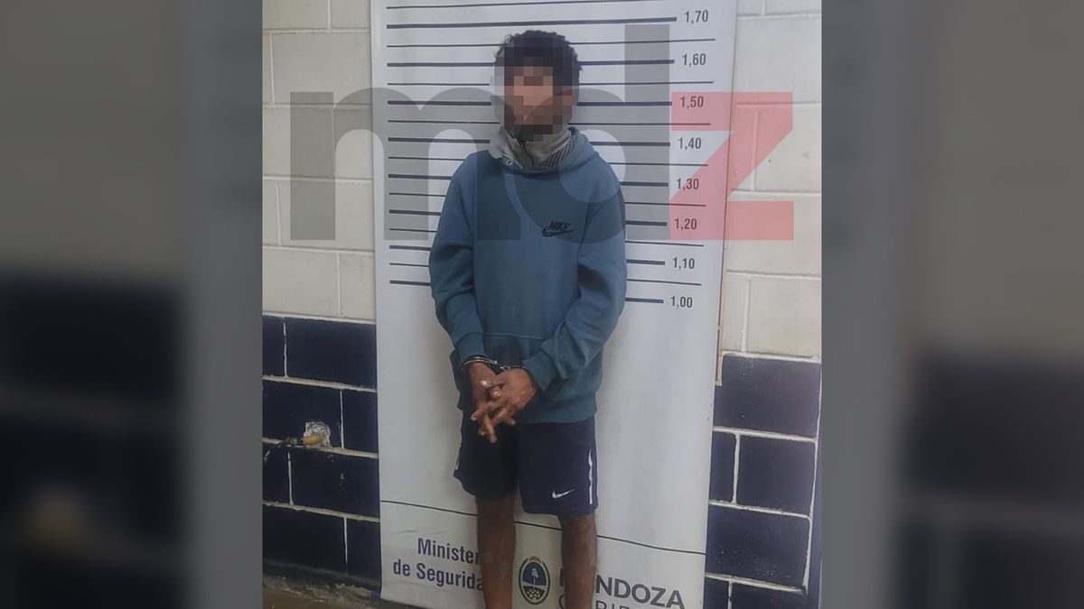Lo descubrieron robando en un negocio, atacó a la dueña con un cuchillo y cayó tras violar una orden judicial