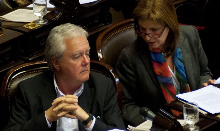 El expresidente del Senado, Federico Pinedo, no se volcó a elegir entre Sergio Massa o Javier Milei en una eventual segunda vuelta sin Patricia Bullrich Foto: NA