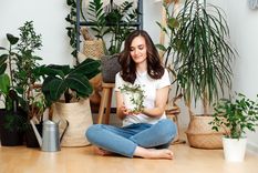 Este el método de decoración que puedes utilizar en tu jardín Foto: Archivo