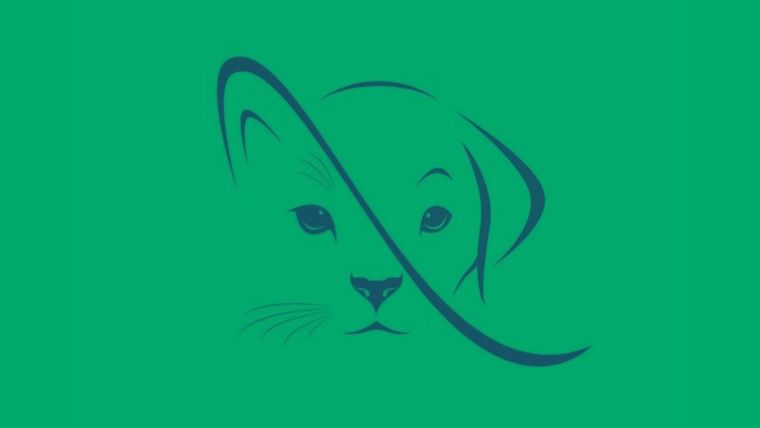 Test de personalidad