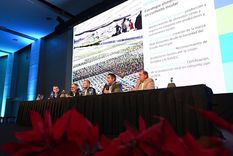 Foto: Prensa Municipalidad de Godoy Cruz