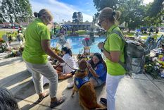 En lo que va de año han estado, entre otros lugares, en Monterey Park, donde un hombre mató en enero a 11 personas en un estudio de baile, y en Allen (Texas), donde otro atacante asesinó hace tres semanas a ocho personas en un centro comercial. Foto: EFE/ Adam Davis