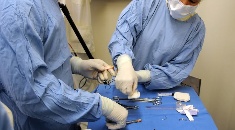 La medida reemplazó a la antigua Disposición de 1999. Foto: ALF PONCE MERCADO / MDZ