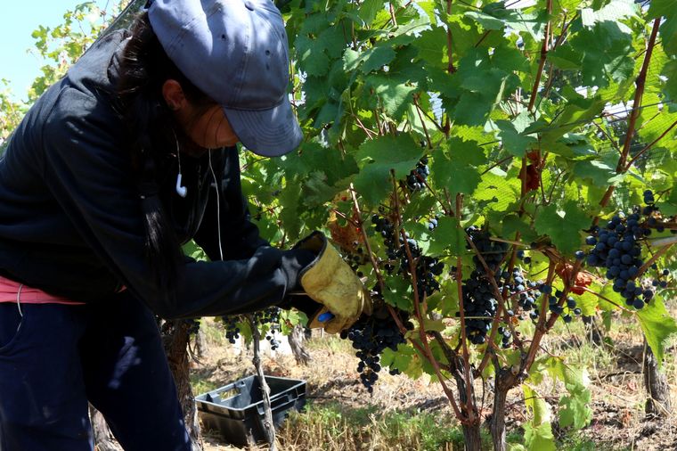 Foto: Maximiliano Ríos/MDZ