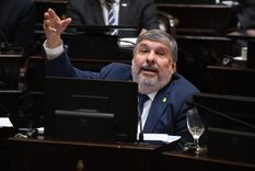 El senador de Unión por la Patria, José Mayans.