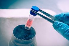 el descarte de embriones humanos es la consecuencia, no la causa